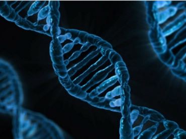 Новый рубеж геномики: российские ученые исследовали некодирующие РНК