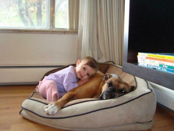 Ещё 33 фотографии, наглядно показывающие, почему в доме, где растёт ребёнок, должна быть собака
