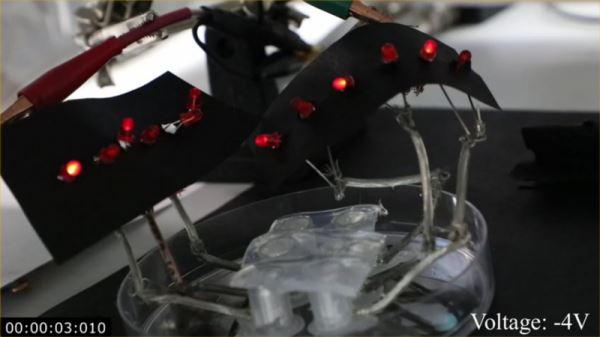Технология российских ученых упростит создание искусственных органов