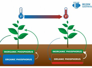 Потепление истощит запасы фосфора в почве